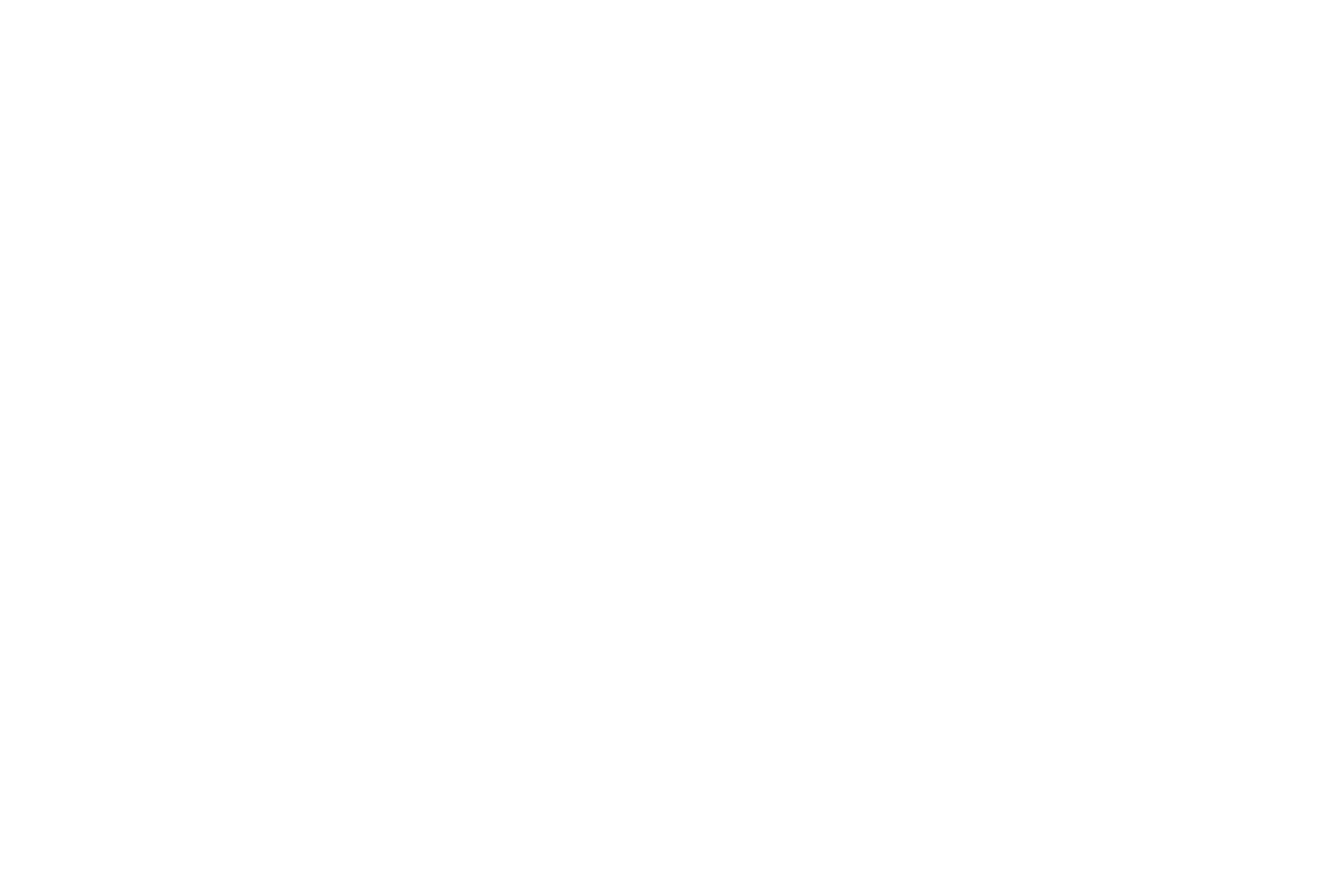 The Von Sues Group Real Estate